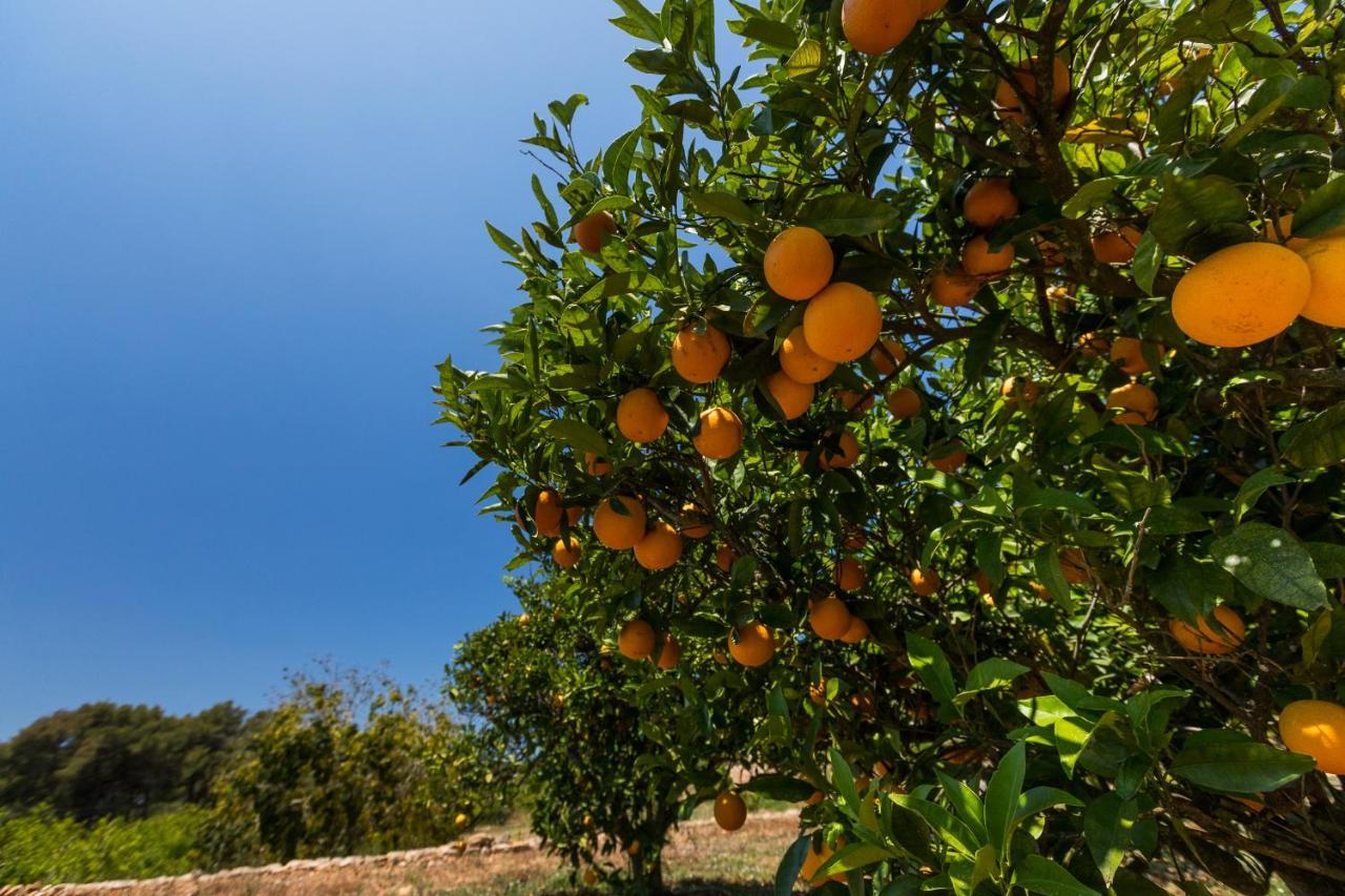 סאנט מיגל דה באלאנסט Agroturisme Can Planells מראה חיצוני תמונה